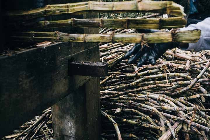 closeup-shot-stack-dried-sugar-canes-agricultural-field