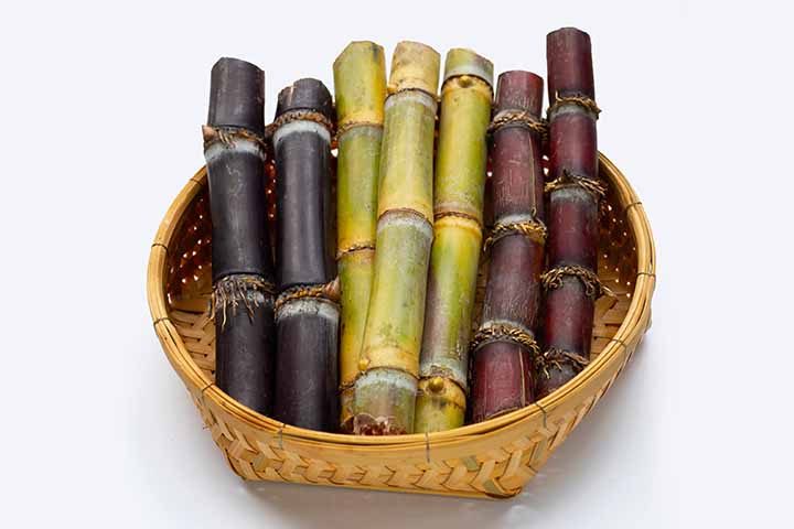 Sugar cane on white background.